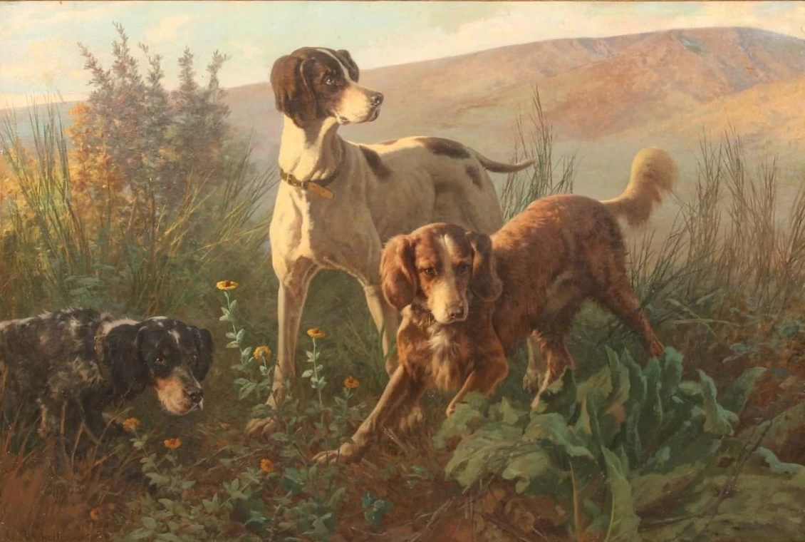 Tre cani da caccia in un paesaggio di montagne